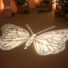 'Butterfly' Gobo